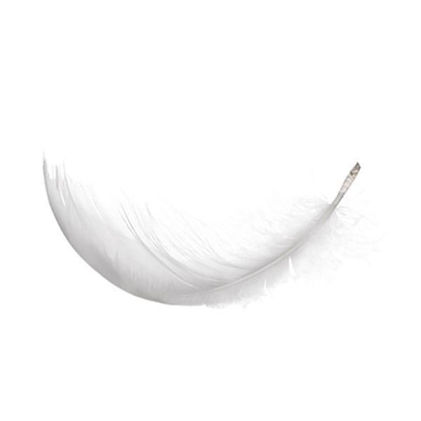 重量輕 重量輕